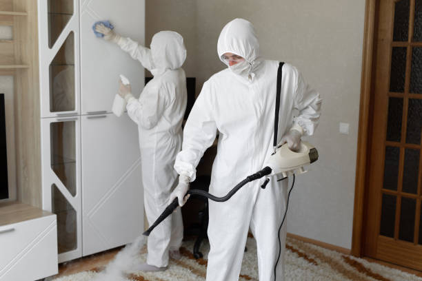 Professional Mold Remediation in Cane Savannah, SC